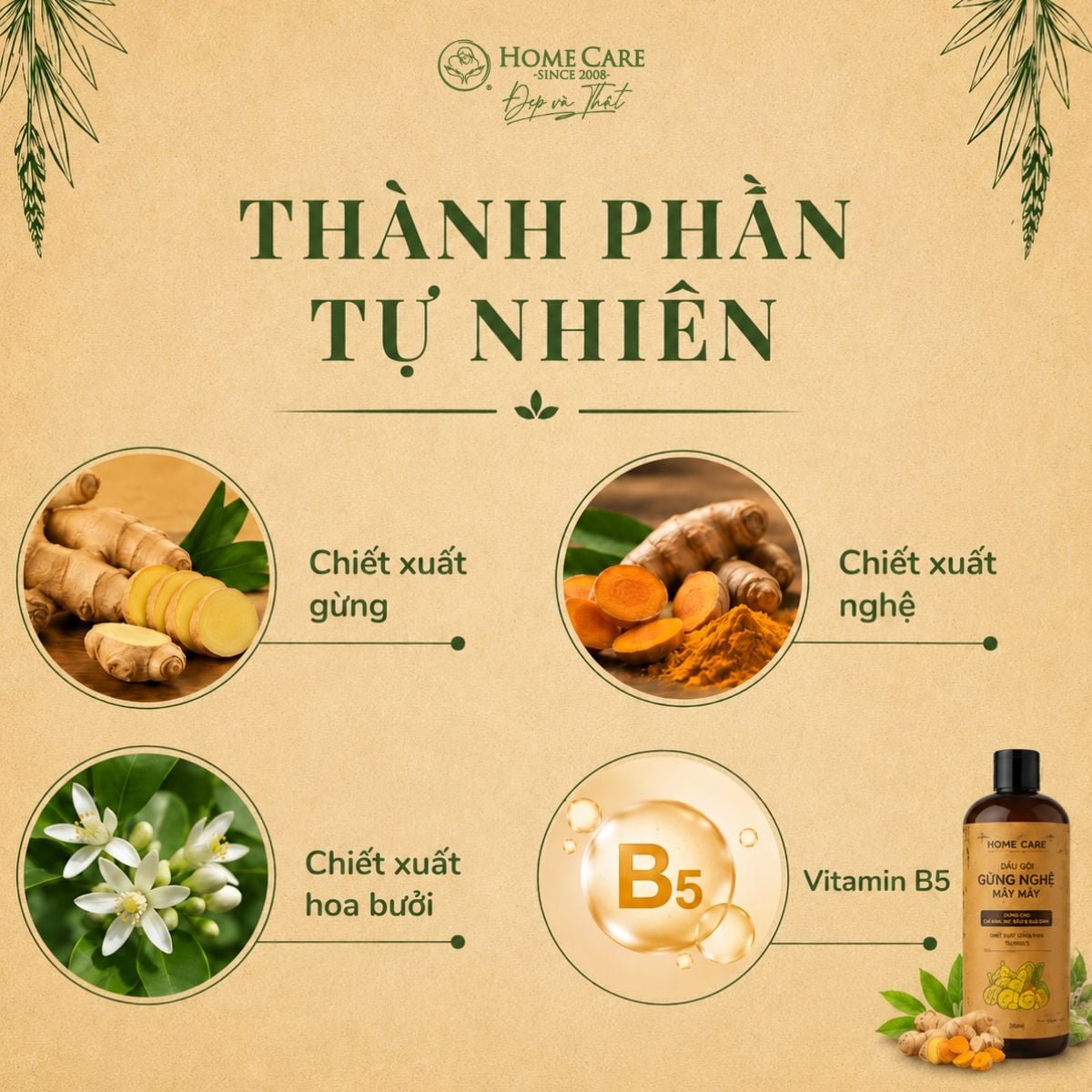 Dầu Gội Cho Mẹ Bầu & Sau Sinh Giảm Gàu & Rụng Tóc Từ Gừng Bưởi